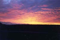 Sailor's Delight