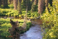 Bear Bend