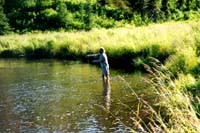 August Quiet Time